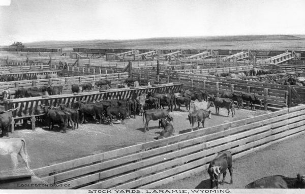 Elevated view of stock yards. Caption reads: "Stock Yards, Laramie, Wyoming."