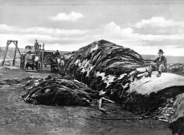 A view of several men working with a large pile of buffalo hides. One man is sitting atop a pile of hides in the right foreground.
