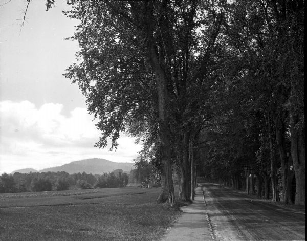 A view looking down a tree-lined dirt highway, with an open field on one side and a mountain in the distance.