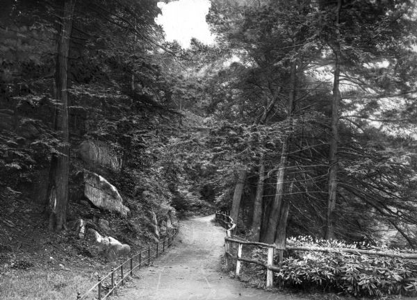 A view of Hemlock Drive, bordered by a fence on both sides, entering the botanical gardens.