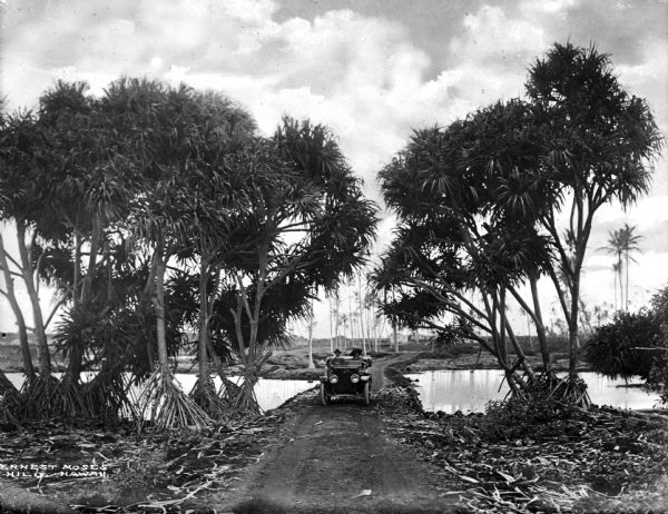 A view of a couple driving a car on a dirt road, surrounded by palm trees and water on both sides.