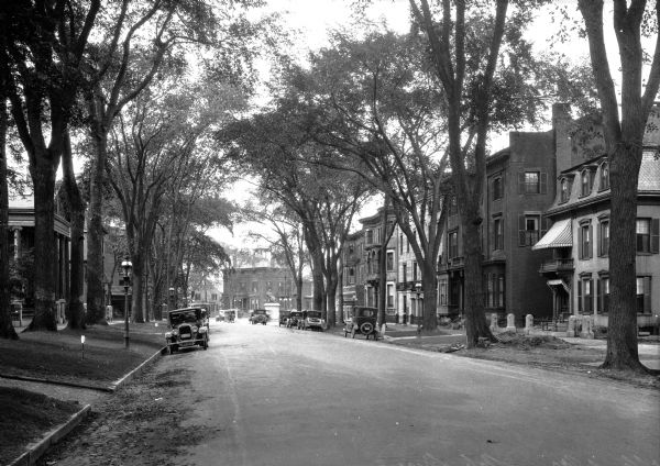 View looking down State Street lined with trees and houses. Automobiles are parked along the curbs on both sides.