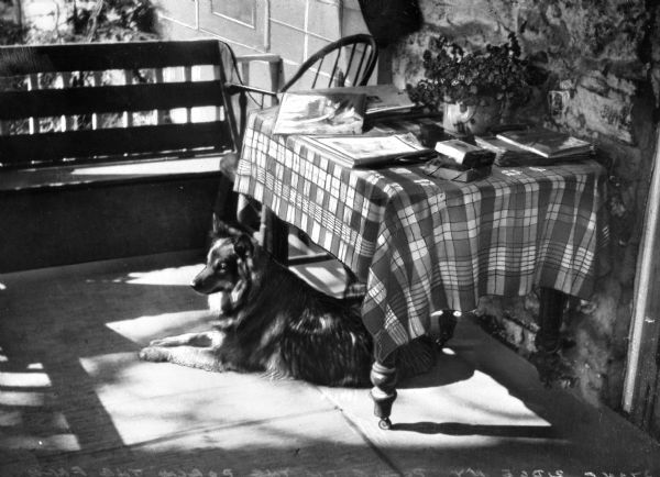 View of a shady patio featuring a resting dog, a bench, chair, a table with a check tablecloth, reading material and a potted ivy.