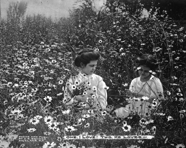 View of two girls sitting in a field of daisies. One girl holds an armful of daisies while the other pulls petals from a single daisy. Caption reads: "One, I Love! Two, He Loves.~"