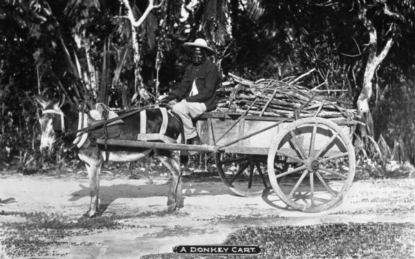View of a man in a hat, sitting on a donkey drawn cart filled with fire wood.  The cart sits on a dirt road with woods in the background.  Caption reads: "A Donkey Cart."