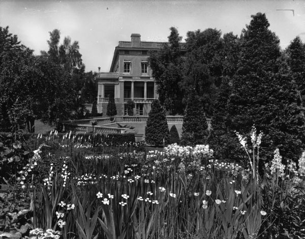 View of a large house with an extensive balustrade, trees and a flower bed in the foreground including irises and foxgloves.
