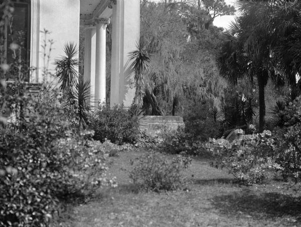 View of a garden with the columned entrance to a mansion in the background. The garden includes azalea bushes, yucca plants, palm trees and a cannon.