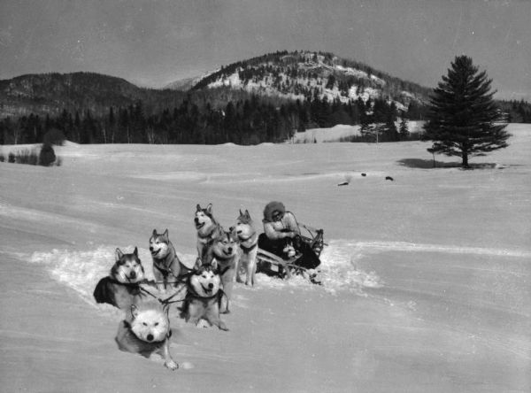 A seven husky dog sled team rests in a snowy field while a woman in a blanket and fur-lined parka sits on the sled. Wooded hills are in the background.