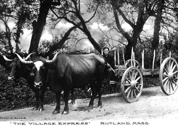 Cart drawn by two oxen on a tree-lined dirt road. The driver holds a stick and the cart holds lumber and rope. Caption reads, "'The Village Express' Rutland, Mass."
