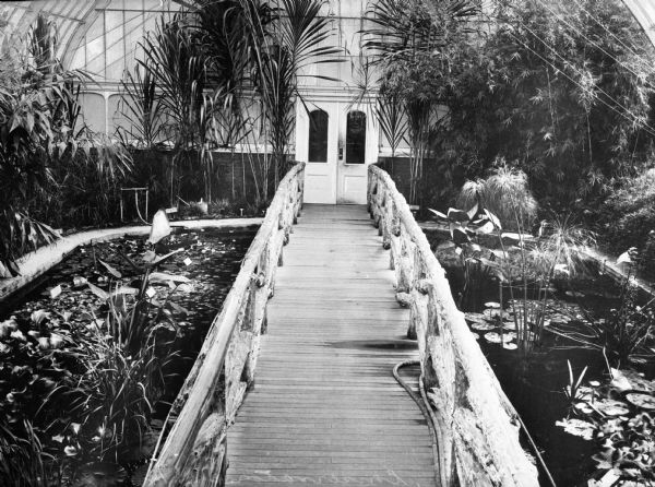 Water garden at the New York Botanical Gardens featuring palms and water lilies along a conservatory walkway.