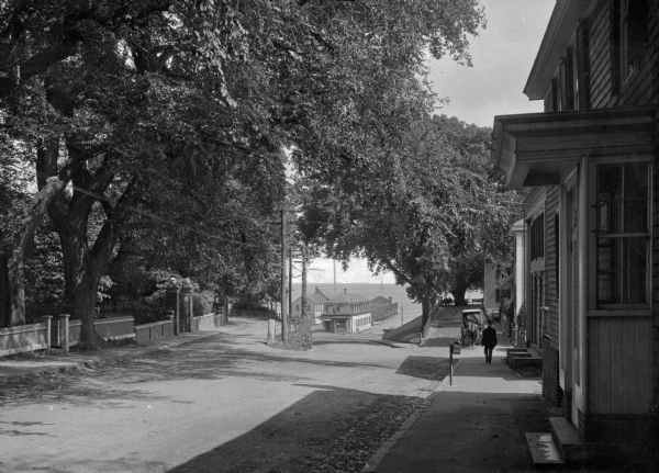 View of Plymouth Street looking towards the waterfront with large trees along the sidewalks.