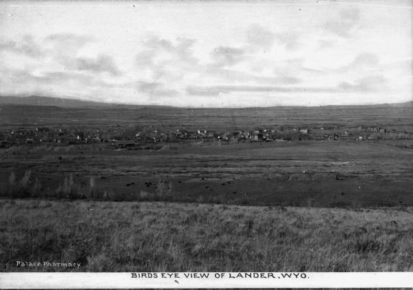 Distant view of small town surrounded by rolling grassland with cattle grazing in the foreground. Caption reads, "Birds Eye View of Lander, WYO."