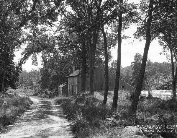A view of a road and the Dickerman Store with trees and vegetation lining the road. Caption reads: "The Dickerman Store, New Canaan, Conn."