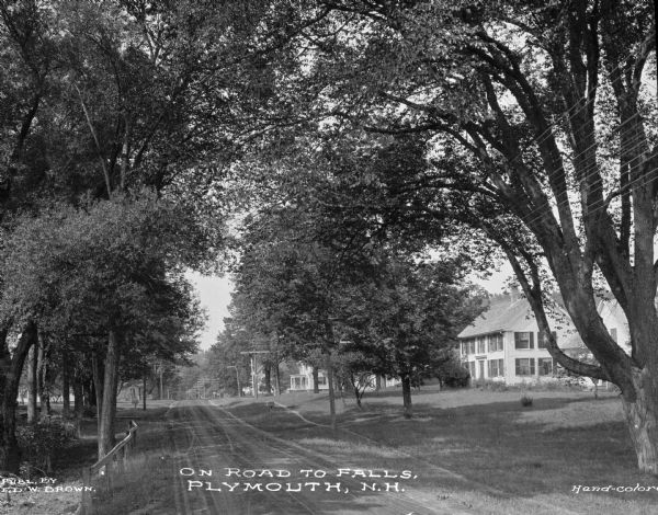 Slightly elevated view down a tree-lined road with a house on the right side. Caption reads: "On Road to Falls, Plymouth N.H."