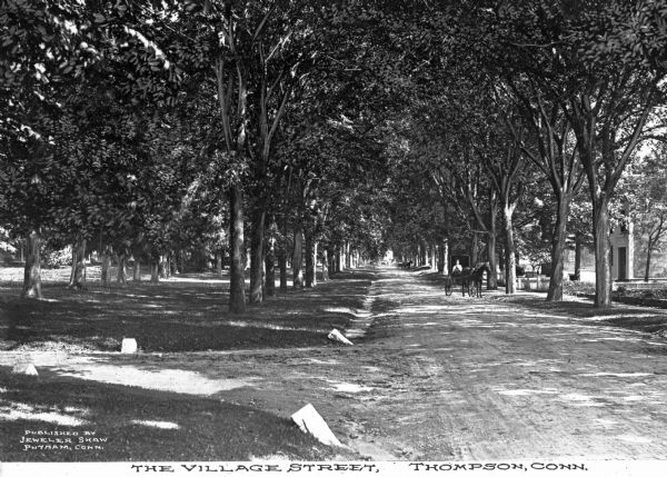 View down a tree-lined street. A man in a horse-drawn carriage is further down the street.