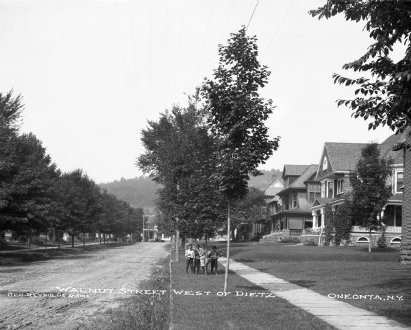 A view down tree-lined Walnut Street. The houses on the left side of the street are obscured by trees. A group of four boys stand by a tree and pose. Printed across the bottom is: "Walnut Street West of Dietz, Oneonta, N.Y."