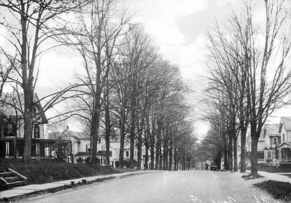 A view of Bank Street. Trees line the street and on the right side of the street is a truck with a man next to it.
