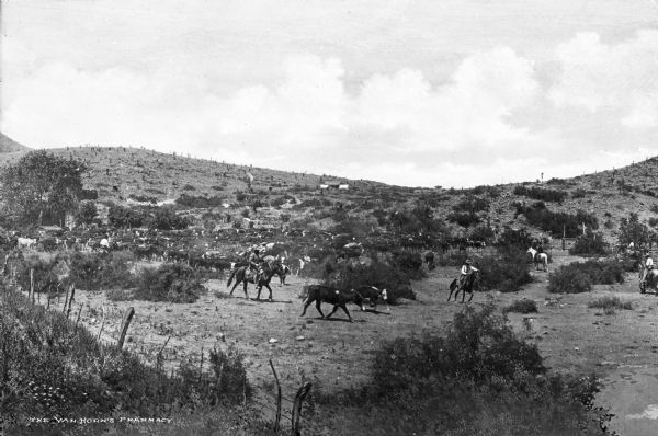 Slightly elevated view of cowhands herding cattle. In the background on a hill with cacti and other plants is a farmhouse and outbuildings.