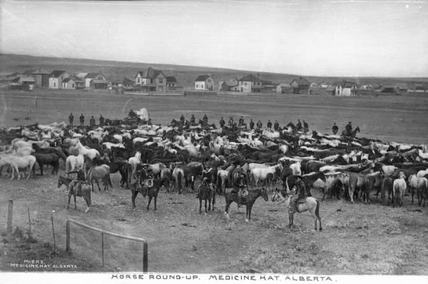 Elevated view of ranch hands rounding up horses. There are approximately two dozen men in two clusters: five are in the foreground in front of the herd and the rest are lined up behind the herd. In the background are the ranch dwellings, outbuildings, or a small town. Caption reads: "Horse Round-Up. Medicine Hat, Alberta." 
