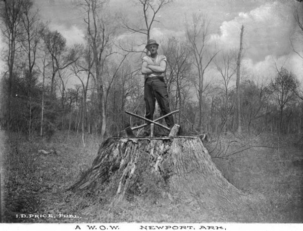 A man stands on a very large tree stump with his arms crossed over his chest. At his feet, crossed, are two axes. In the background, as a contrast, are thinner trees. Caption reads: "A W.O.W., Newport, Ark."