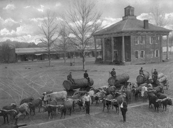 Elevated view of men posing with oxen-drawn wagons carrying logs. Two men are standing, while the rest of the men are sitting on the logs. A domestic or government building is in the background on the right, and commercial buildings of the town are in the far background.