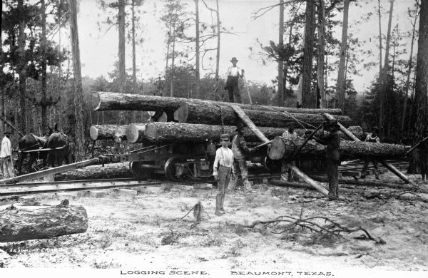 A man in the background is standing on top of the logs that are being loaded onto a railcar. Four African American men at ground level are working to hoist them onto the car. Another man is standing with two horses. Standing in the foreground is a boy. Caption reads: "Logging Scene. Beaumont, Texas."