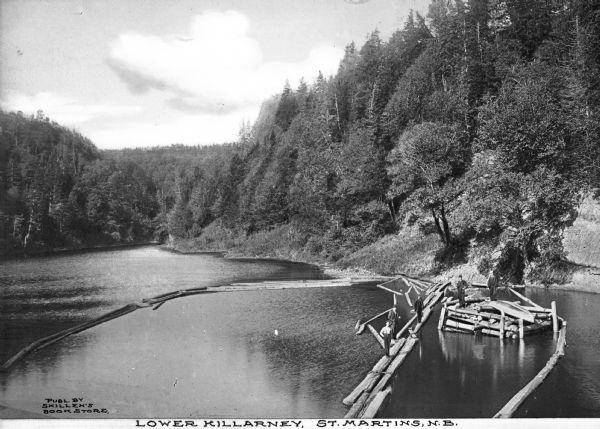 Elevated view of four men posing on logs floating in the Lower Killarney River, St. Martin's, New Brunswick, Canada. To the left of the scene is an expanse of lake and forest. Caption reads: "Lower Killarney, St. Martin's, N.B."