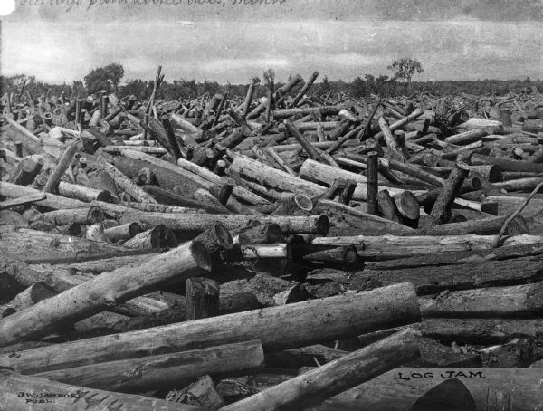 View of a log jam on the river, with a forest in the background. Caption reads: "Log Jam."