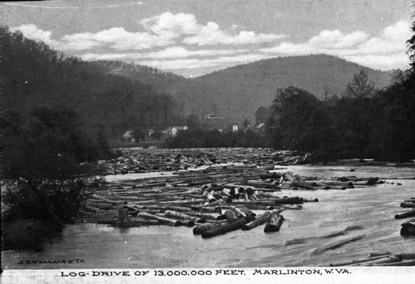 Elevated view of logs in the river. Near the river's bend are houses and other structures. The rolling hills and forests of West Virginia are in the background. Caption reads: "Log-Drive of 13,000,000 feet, Marlinton, W. Va."