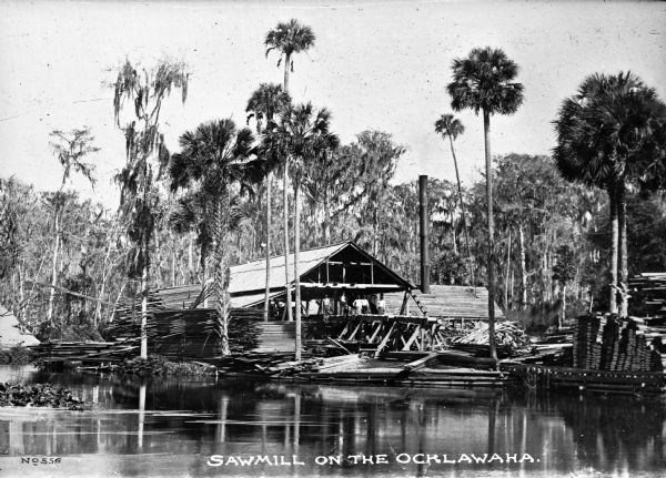 View across water toward a sawmill amidst palm trees. Lumber is piled high in numerous stacks. Five men are standing on a platform that juts out from a roofed, open air structure. There is another building in the background which has a tall chimney. Caption reads: "Sawmill on the Ocklawaha."