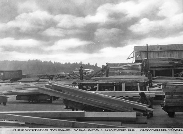 View of lumber transported from the mill and across the assorting table, where it is then moved and sorted into different groups. Men stand on the lumber or beside it. On the left is a railroad car and tracks. Caption reads: "Assorting Table, Willapa Lumber Co., Raymond, Wash."