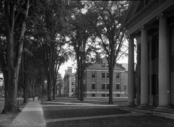 A view of a row of brick and stone buildings leading towards Crosby Hall. Trees line the sidewalk.