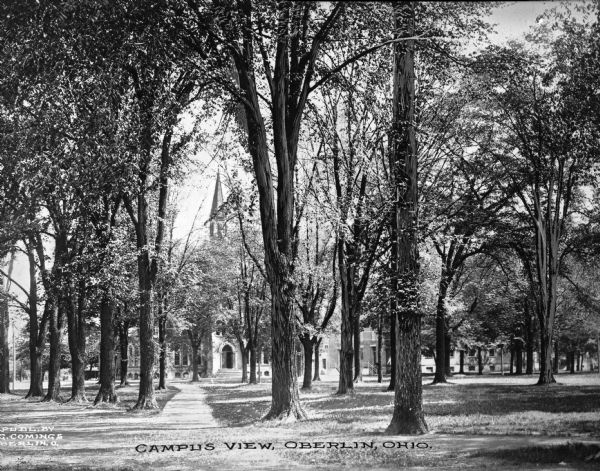 A view of the Oberlin College campus looking toward a campus building through trees. Caption reads: "Campus View, Oberlin, Ohio."