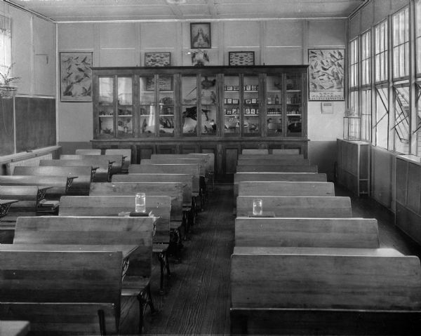 A view toward the back wall of a classroom at Our Lady of Wisdom Academy. A large case containing taxidermied birds and mounted butterflies takes up most of the back wall, and framed posters of birds and butterflies hang alongside and stand atop it. A painting of the Virgin Mary hangs above the case and rows of desks fill the room in the foreground.