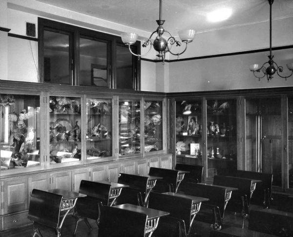 A view of the Museum and Science Room at Mount St. Joseph. Taxidermied birds and fish are arranged on the shelves of a display cabinet standing along the wall, and desks are arranged in rows next to the cabinet.