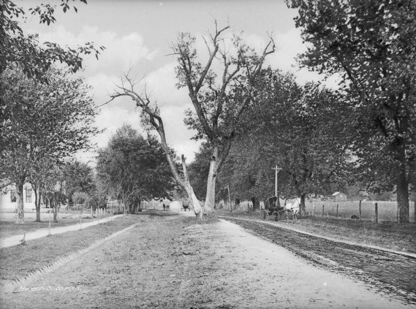 View down dirt road toward a large, partially dead tree with two trunks in the center. Nearby on the right is a person in a horse-drawn carriage. There is a fence on the right side of a dirt road. Houses are on the left side of the road.