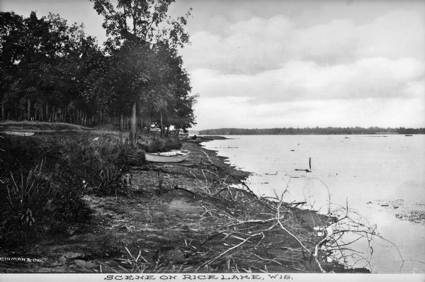 View along shoreline toward a boat sitting along the wooded shore of Rice Lake. Caption reads: "Scene on Rice Lake, Wis."