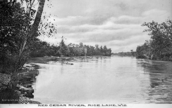 View of the Red Cedar River with tree-covered shorelines. Caption reads: "Red Cedar River, Rice Lake, Wis."