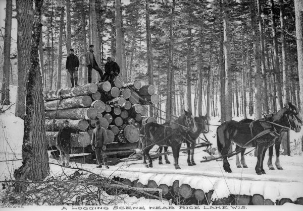 A group of men use a team of four horses to transport logs across snow-covered ground on a sled. Trees are in the background. Caption reads: "A Logging Scene Near Rice Lake, Wis."