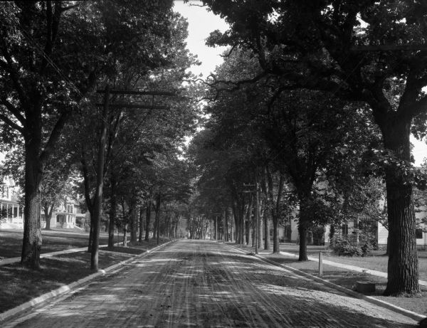A view of a tree-lined street, with sidewalks, houses and lawns on either side.