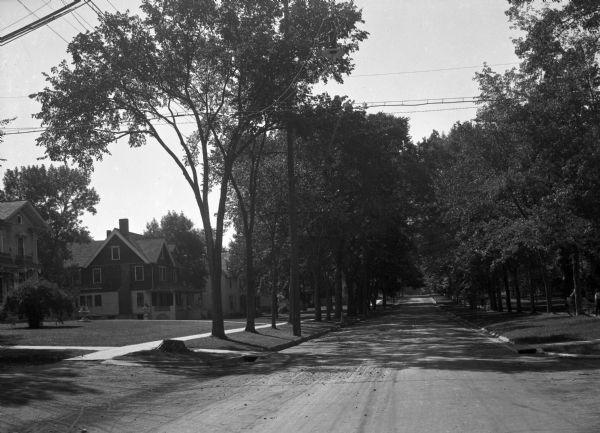 A view of a tree-lined residential street. Houses with large lawns are to the left. Two men are walking bicycles down the sidewalk at right.