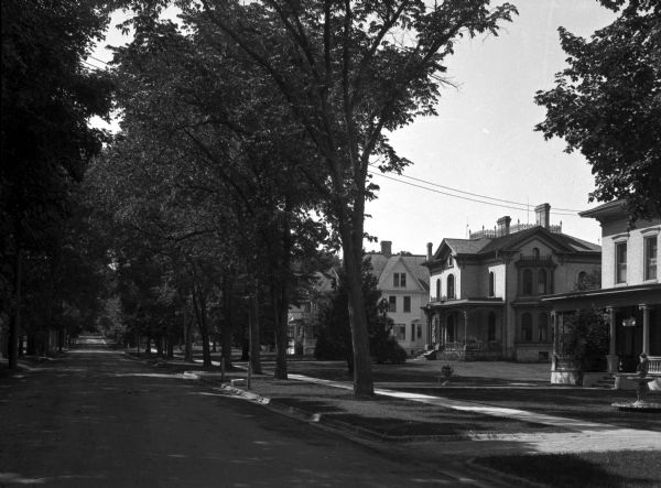 View across tree-lined residential street towards houses on the right.
