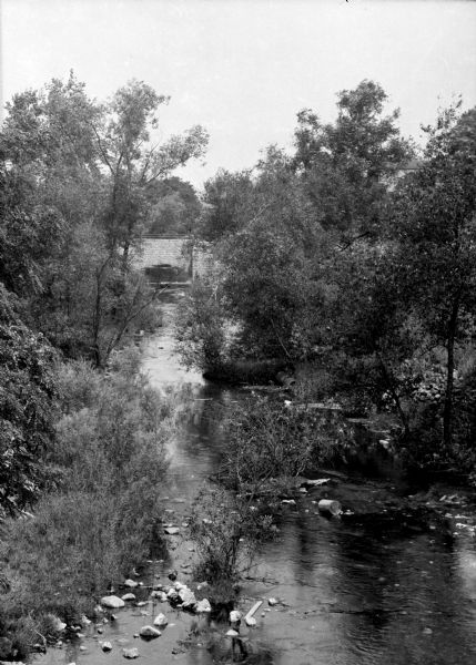 Elevated view of a tree-lined stream, its banks, and a bridge in the distance.