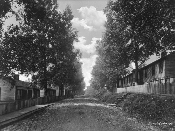 View of an unpaved rural street in a company town of Consolidated Coal Company. In the distance, a boy leads a flock of birds down the street.