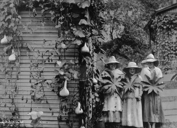 Three women in sun hats pose with large leaves next to a building covered with a gourd vine, in a company town of Consolidated Coal Company.