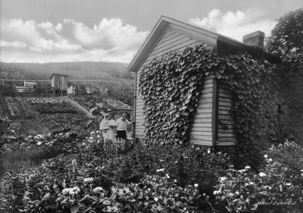 A couple and a child stand next to their home, which is covered with ivy. A large vegetable and flower garden surrounds the home, and cornfields are in the background. Photograph taken in a company town of Consolidated Coal Company.