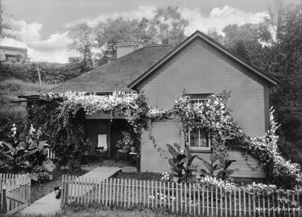 A view of a small home and yard. Flowering ivy covers the home, and several flowering plants are in the front yard. One cat sits on the walk and another sits on a chair on the porch. Photograph taken in a company town of Consolidated Coal Company.