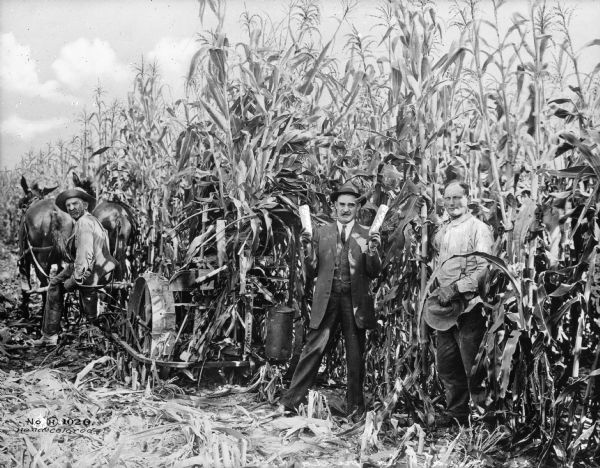 Three men in a cornfield, mid-harvest. One of the men is seated on a horse-drawn harvester. "McCormick Chicago" (rest of text illegible) can be read on the rear of the machine. The other two men, one of whom is wearing a suit and holding two ears of corn, pose nearby.