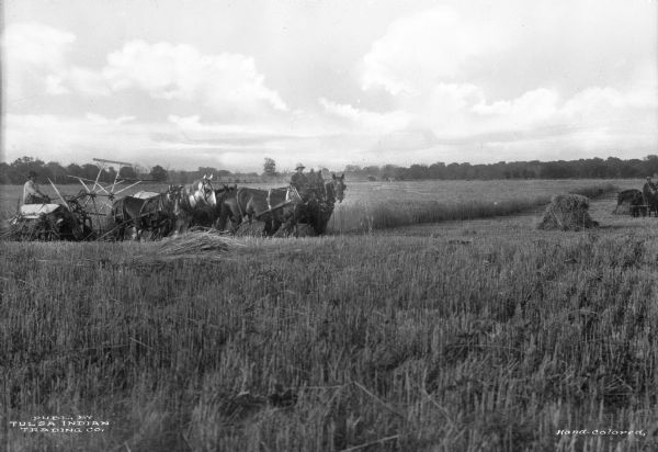 Several agricultural workers are shown binding oats using horse-drawn equipment. A team of five horses are pulling agricultural equipment, and another team is nearby.