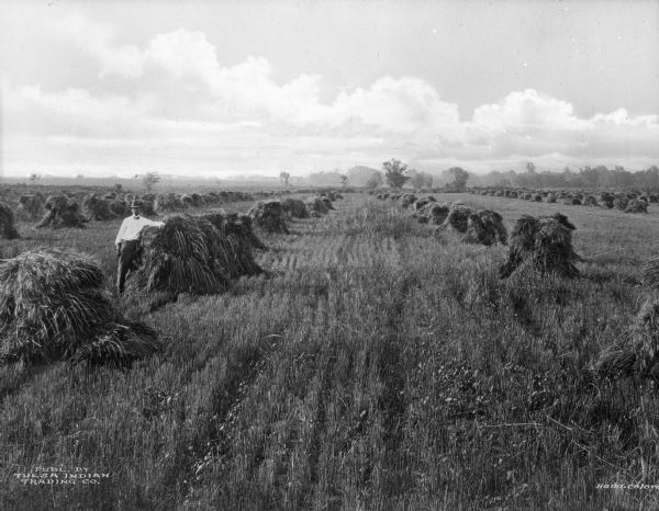 A man poses in a wheat field in the vicinity of Tulsa. The field has been recently harvested, and bundles of wheat sit in rows.